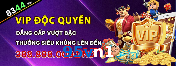 95vn1